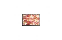 China E080AWP4 R1 8.0 inch 800*480 TFT-LCD Display Screen supplier