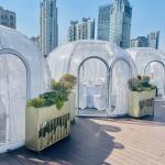 Waterproof Windproof Camping Polystyrene PC Bubble Tent Transparent Dome House for sale