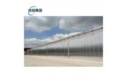 China Revolutionize Your Drying Process with Junxu Heavy Industry's Customized Wood Dryer supplier