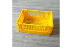 China Plastic 5L PP Folding Storage Basket Desktop Decoration supplier