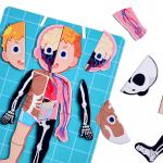 CMYK Printing Human Body Puzzle Kids Human Anatomy Bones And Muscles Puzzle Toys for sale