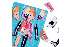 China CMYK Printing Human Body Puzzle Kids Human Anatomy Bones And Muscles Puzzle Toys supplier