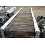 201 Stainless Steel Cleaning Vegetables Chain Conveyor Belt for sale