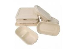 China Disposable Compostable Take Away Food Containers Sugarcane Bagasse Tableware Box supplier