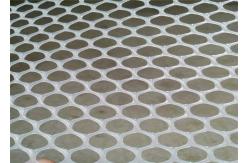 China 100% Hdpe White Plastic Mesh Netting Hexagonal Shape Poultry Chicken Aviary supplier