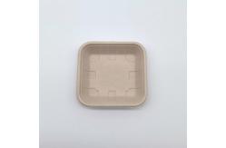 China Compostable Biodegradable Bagasse Tableware Disposable Rectangular Shape supplier