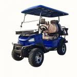 Custom Golf Cart 4-6 Seats Scenic Electric Sightseeing Car Patrol for sale
