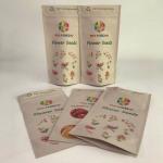 Custom Pirnted Biodegradable Bags Eco-friendly Bags Kraft Paper  PLA Bags for sale