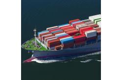 China Air Lcl Fcl Sea Shipment China To Dominica International Maritime Container DDU supplier
