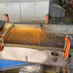 XPE Foam Granulation Machine For XLPE EVA Polyethylene Cross-linked Pelletize for sale