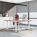 Modern Electric Height Adjustable Desk Ergonomic Executive Standing Desk