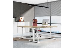 China Modern Electric Height Adjustable Desk Ergonomic Executive Standing Desk supplier