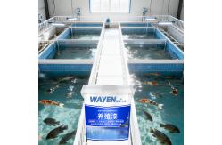 China Indoor Waterproof Aquaculture Paint Boat Paint Koi Pond Painting supplier