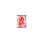 C050SWAK-3 5.0 inch 720*1280 IPS LCD Screen Panel for sale