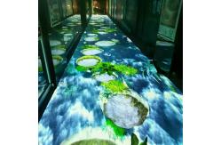 China Immersive Interactive Gaming Projector System Fun Interactive Floor Games supplier