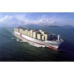 FOB EXW LCL Container Shipping Port To Port Ocean Shipping Cost From China To Canada for sale