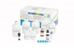 China 40T/Kit Sperm Function Test Kit Induced Acrosome Reaction By Calcium Method supplier