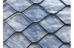China 1.2mm 25mm Mesh Eye Size Inox Black Oxide Aviary Netting supplier