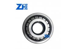 China MUS1307UM Non-Locating Cylindrical Roller Bearing for Thermal Expansion Compensation supplier