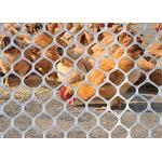 Wear Resistance Plastic Poultry Netting For Chicken Duck Feeding And Animal Protect for sale