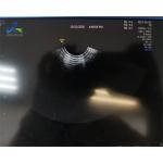 GE RIC5-9A-RS 4D Ultrasound Probe Repair Crystal And Dome Replace 4D Circuit for sale