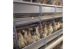 China H Shaped Small Stacked Layer Chicken Cage 6 Layers Customized supplier