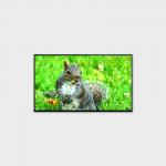LCMA-RX0430GB03-Z200 43 LCD Screen with 1920*1080 Resolution and High Brightness of 2000nits for sale