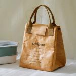Dupont Paper Insulated Tote Lunch Bag Refrigerated Waterproof Lunch Containers