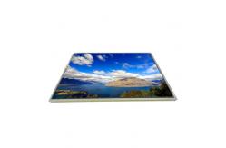 China LTD141EAVV 14.1 inch 1024*768 TFT-LCD Screen Display supplier