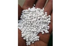 China Lightweight PBT-100 Plastic with Excellent Chemical Resistance in White supplier