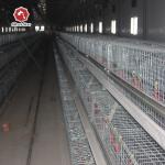 Hot Galvanized  Full Automatic Baby Chick Cage for sale