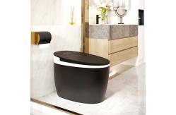 China Automatic Flushing Smart Intelligent Toilet Self Cleaning Power Saving supplier