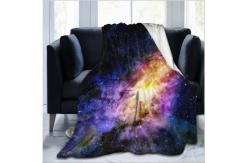 China 3D Polyester Plush Soft Printed Flannel Blanket For Hotel supplier