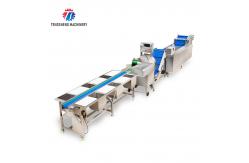 China Automatic Vegetable And Fruit Production Line Selection Cutting And Washing Machine supplier