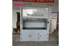 China Microcomputer Control Chemical Fume Hood With Scrubber LED Lighting supplier