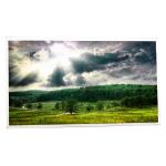 21.5 inch LCD panel display M215HGE-L21 1920*1080 30pin LCD Screen for sale