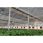 Multi Span Plastic Film Greenhouse Vegetables Fruits Flowers Hydroponic System Greenhouse for sale
