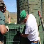 Hesco Welding 76.2*76.2 Mesh Army Barriers for sale