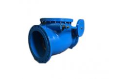 China Multi Single Disc Door Flanged PN10 Stainless Swing Check Valve supplier