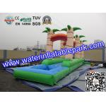 PVC Inflatable Single Lane Slip , Inflatable Water Slide Single Slip