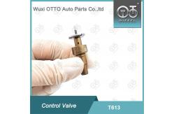 China T613 Bosch Common Rail Control Valve Applied 0445110551 supplier
