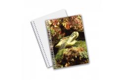 China School Stationery 3D Lenticular Advertising Custom Spiral Notebooks for Children Promotion Gift supplier