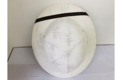 China Straw hat Sting Proof Beekeeping Protective Outfits Straw Material Beekeeper Hats supplier