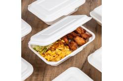 China Food Packaging Sugarcane Bagasse Lunch Box Containers For Salad supplier