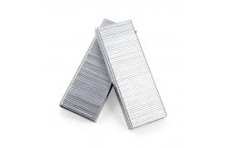 China 14/38 Galvanized Pneumatic Staples Special Fasteners for Furniture Use supplier