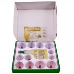 ZhongYan TaiHe Twist Top Magnetic Cupping Set 12pcs / Set Acupressure for sale
