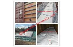 China 24000 Liters Flexitank Flexibag supplier