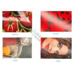 Waterproof RC Drylab Photo Paper Inkjet Photo Paper Roll For Giclee Printing