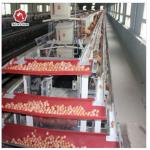 Long Time A Type Farm Chicken Battery Cages For Layers for sale