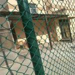Easily Assembled Chain Link Privacy Screen  6 Foot 9 Gauge